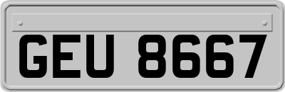 GEU8667