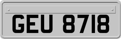 GEU8718