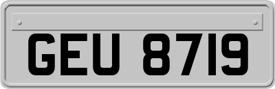 GEU8719