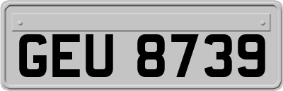 GEU8739