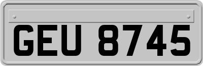 GEU8745