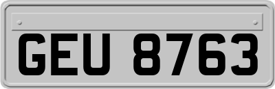 GEU8763