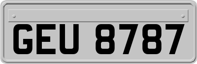 GEU8787