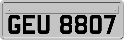 GEU8807