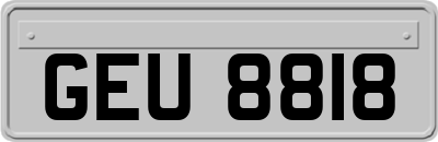 GEU8818
