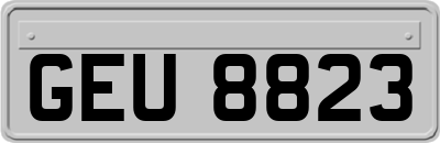 GEU8823