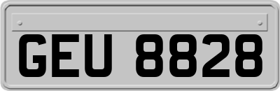 GEU8828