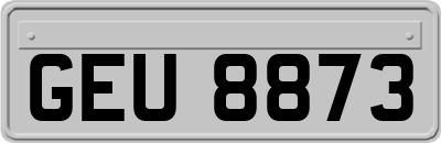 GEU8873