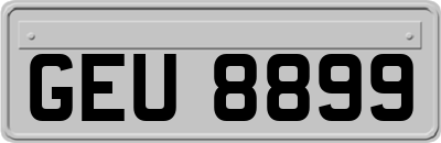 GEU8899