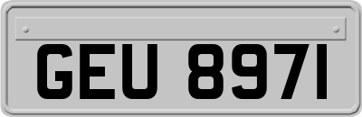GEU8971