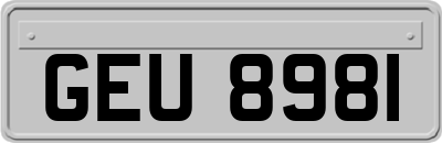 GEU8981