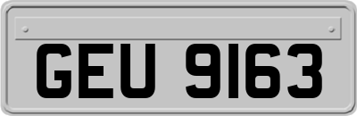 GEU9163