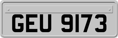 GEU9173