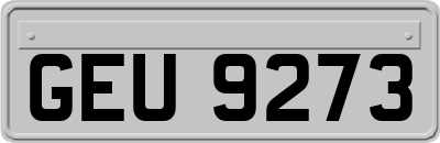 GEU9273