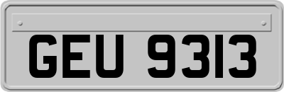 GEU9313
