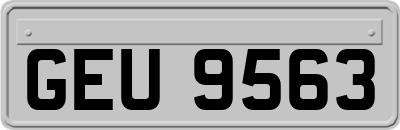 GEU9563