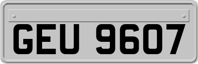 GEU9607