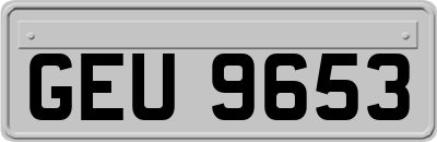 GEU9653