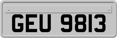 GEU9813