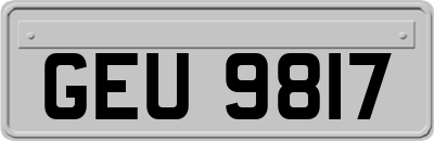 GEU9817