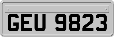 GEU9823