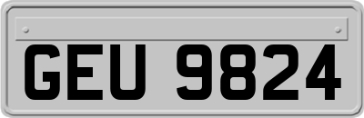 GEU9824