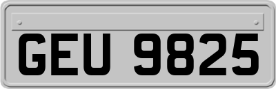 GEU9825