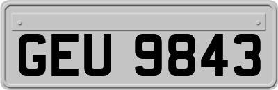 GEU9843