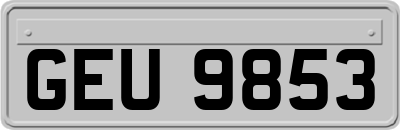 GEU9853