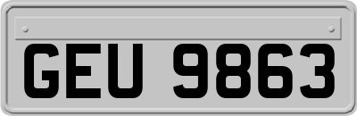 GEU9863