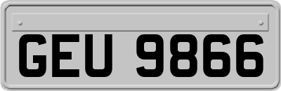 GEU9866