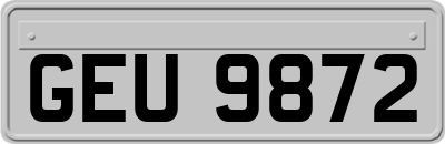 GEU9872