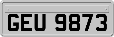 GEU9873