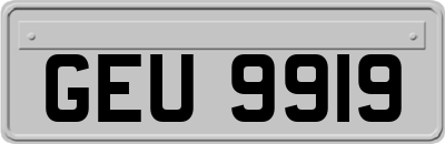 GEU9919