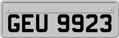 GEU9923