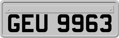 GEU9963