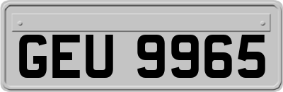 GEU9965