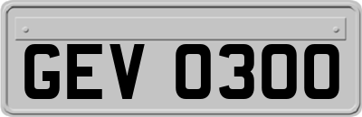 GEV0300