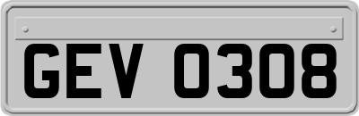 GEV0308