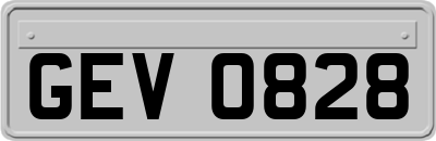 GEV0828