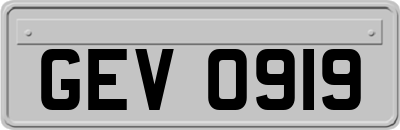 GEV0919