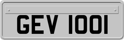GEV1001