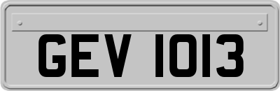 GEV1013