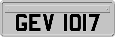 GEV1017