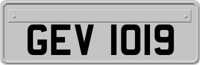 GEV1019