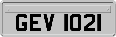 GEV1021