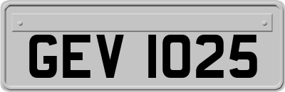 GEV1025