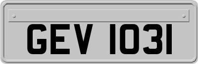 GEV1031