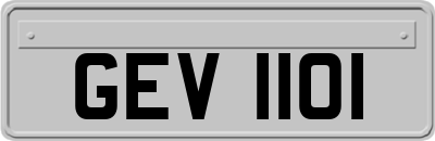 GEV1101