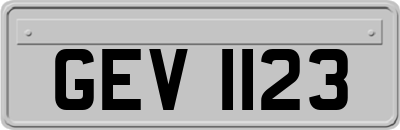 GEV1123